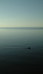 20080621-181106-crop