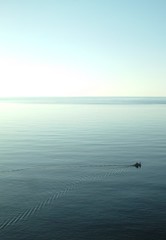 20080621-181115-crop